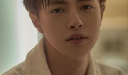 坤哥被爆料整容了吗视频,视频爆料背后的真相